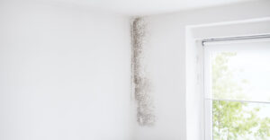 Innenraum- Wandecke mit typischem Schadensfall: An der Innenecke zu Außenwand hat sich Schimmel gebildet. 