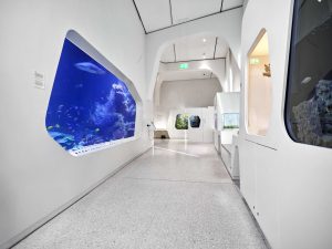 Vivarium im Naturkundemuseum Karlsruhe: Die neu lackierten Flächen glänzen weiß und sind wieder bereit für die Besucher: widerstandsfähig, schadstofffrei und glänzend beschichtet – mit wasserbasierender Grundierung und Decklack von Südwest.