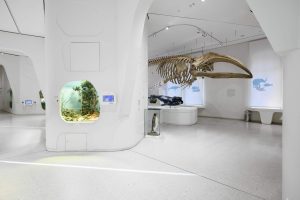 Vivarium im Naturkundemuseum Karlsruhe: Die neu lackierten Flächen glänzen weiß und sind wieder bereit für die Besucher: widerstandsfähig, schadstofffrei und glänzend beschichtet – mit wasserbasierender Grundierung und Decklack von Südwest.