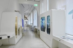 Vivarium im Naturkundemuseum Karlsruhe: Die neu lackierten Flächen glänzen weiß und sind wieder bereit für die Besucher: widerstandsfähig, schadstofffrei und glänzend beschichtet – mit wasserbasierender Grundierung und Decklack von Südwest.